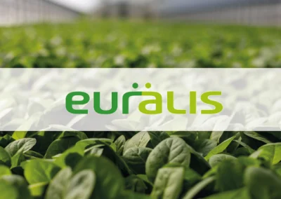 Euralis : une trajectoire data pour transformer la coopérative agricole