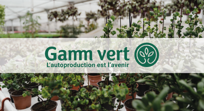 gamm-vert-cas-client-thelio